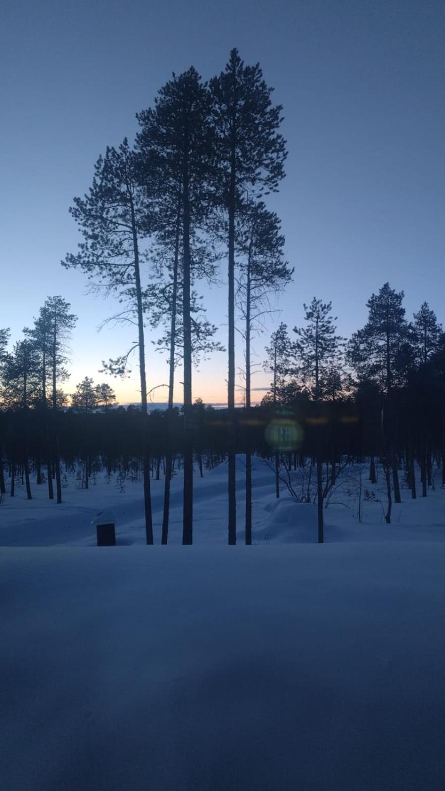 Villa Paadari Inari Dış mekan fotoğraf